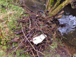 Brook Clean Up March 2016 (1)