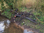 Brook Clean Up March 2016 (2)